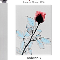 BOTANN'X Bibliothèque Raoul Mille à Nice du 2.03 au 29.03.2018