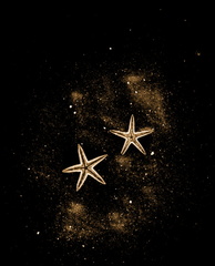 Constellation Marine