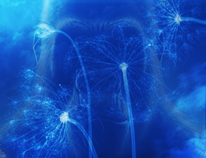 Et si c'était...KING KONG